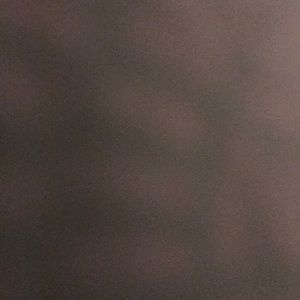 Meet your Posher, Angelina